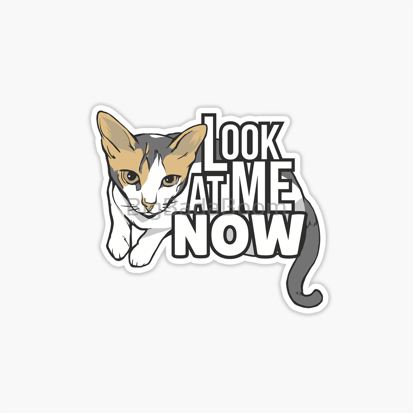 Funny Cat Sticker