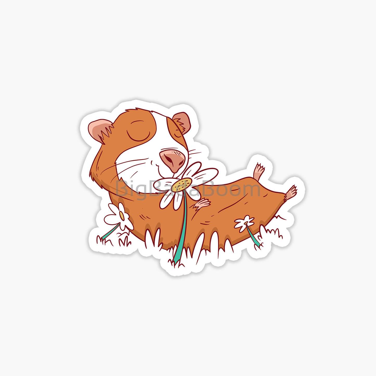 Guinea Pig Sticker