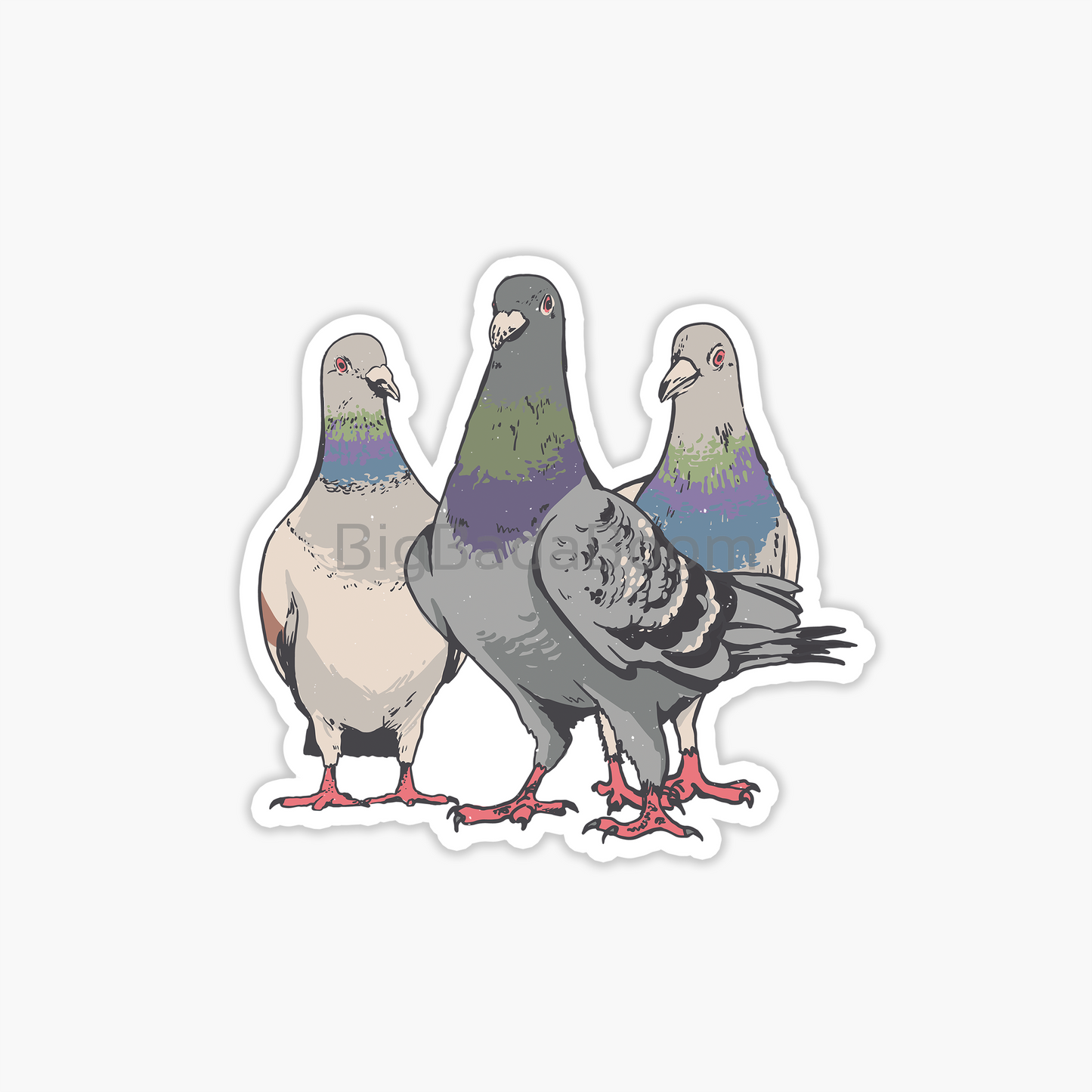 Pigeons Sticker