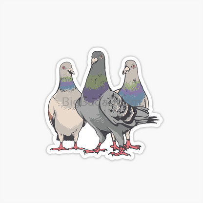 Pigeons Sticker